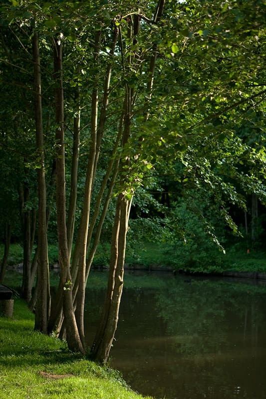 Le parc animalier en famille