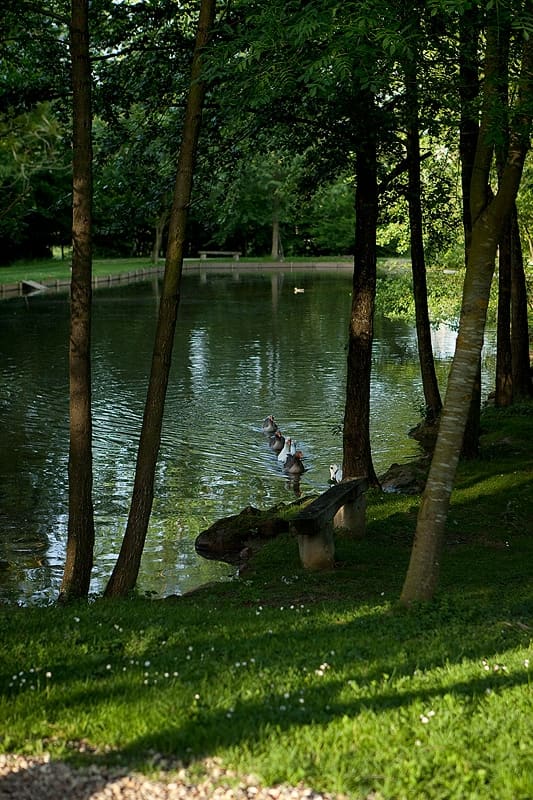 Le parc animalier, à cinq minutes