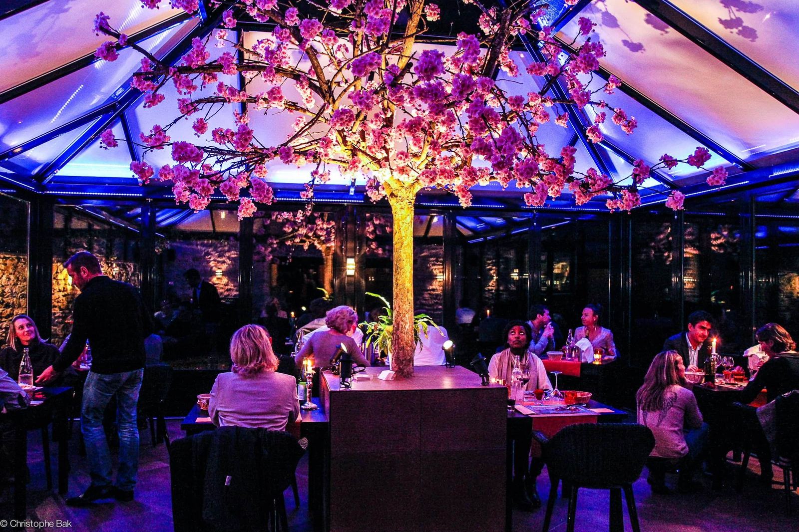 La verrière du restaurant