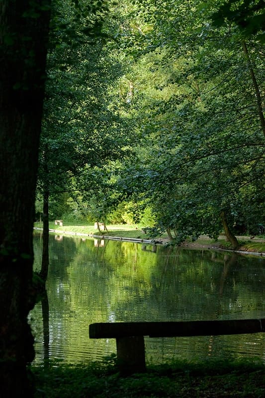 Découverte de la faune et de la flore du domaine